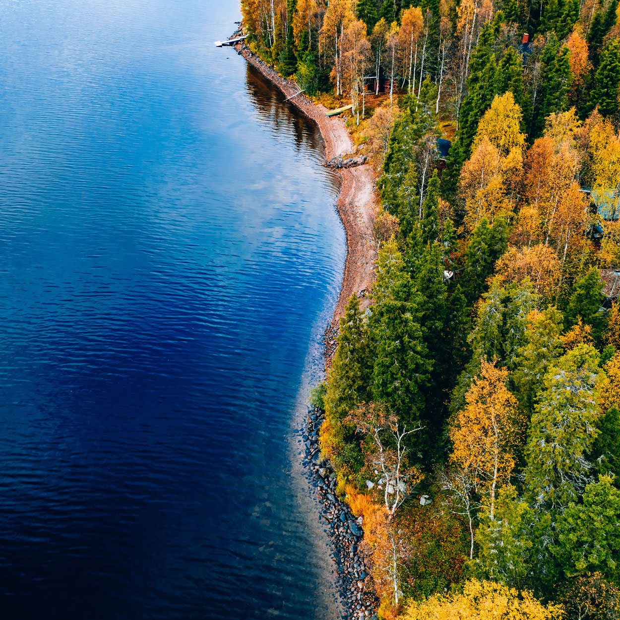 Découvrez la beauté sereine de l'automne, le lac de montagne bleu reflétant le feuillage automnal dans ce paysage naturel éblouissant.