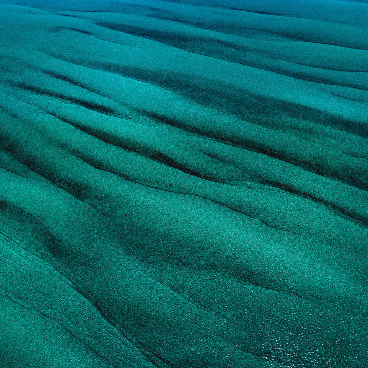 Ce tissu présente un motif abstrait rappelant une plage sablonneuse, avec une couleur bleue distincte et un fond texturé.