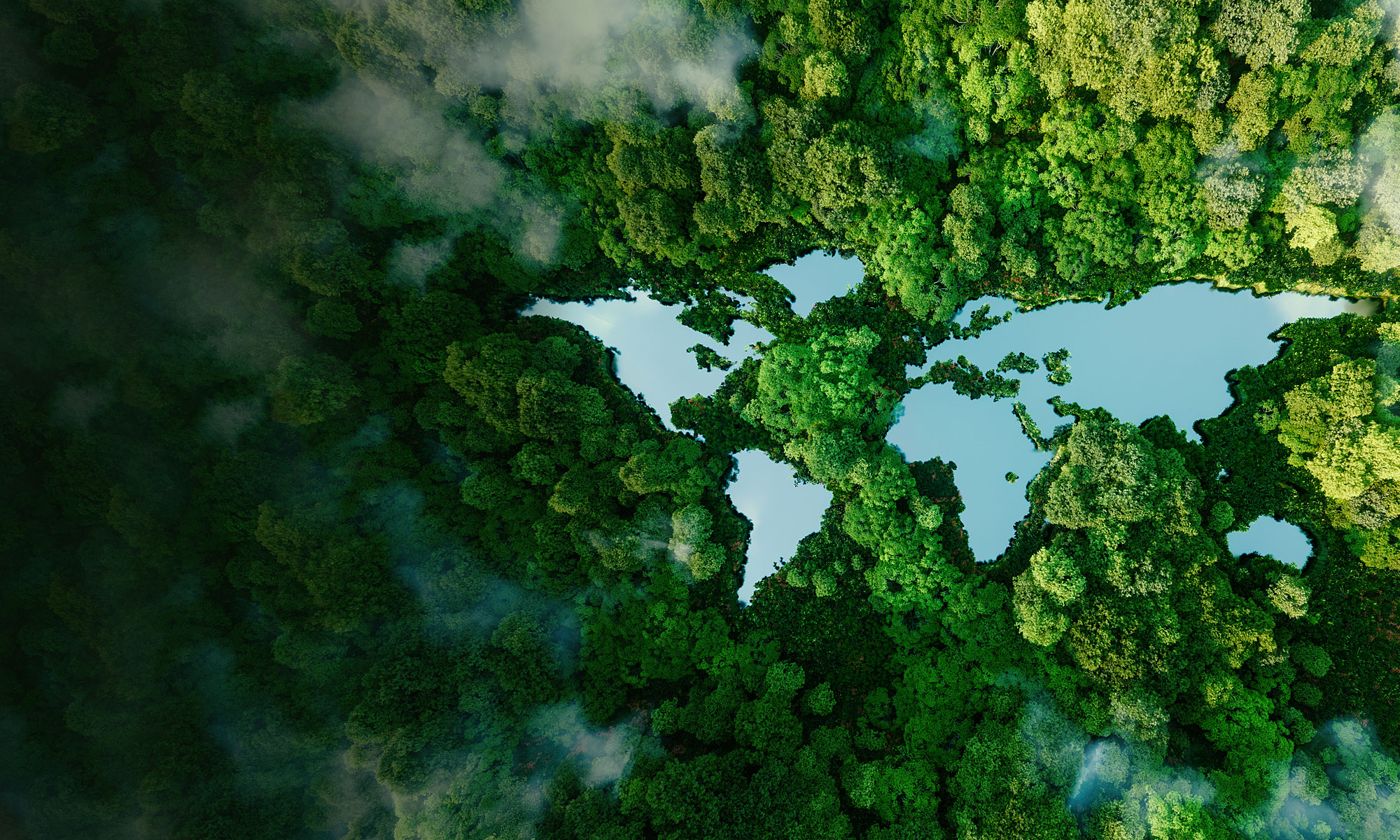 Un motif abstrait mélangeant des éléments de la nature, de l'eau et de la terre, forme un fond de carte du monde texturé en vert.